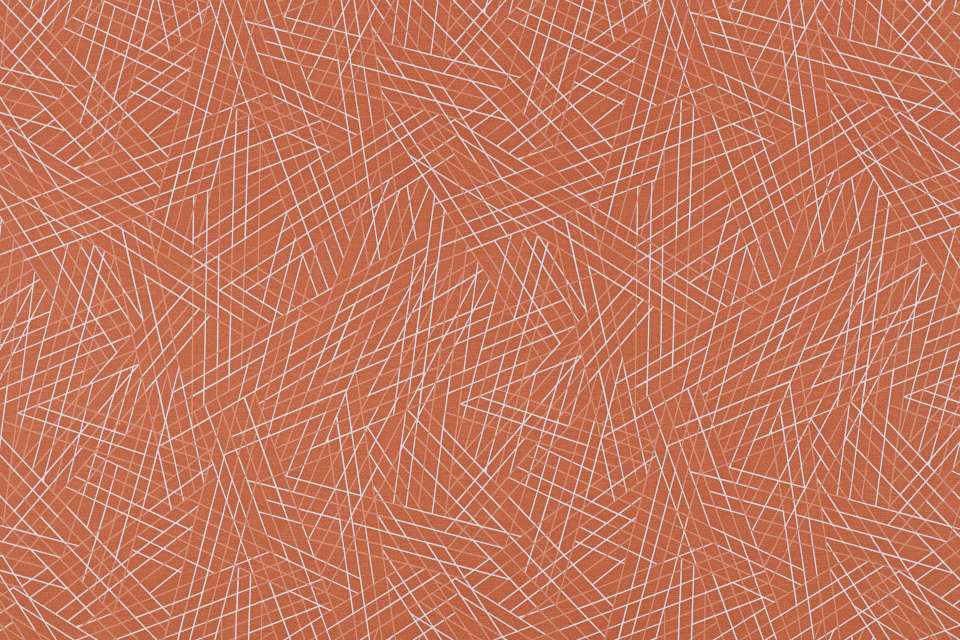 Vector Spice Vector Spice