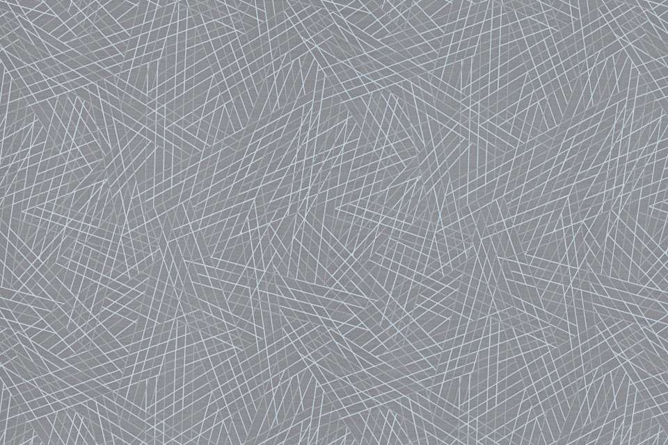 Vector Ray Vector Ray