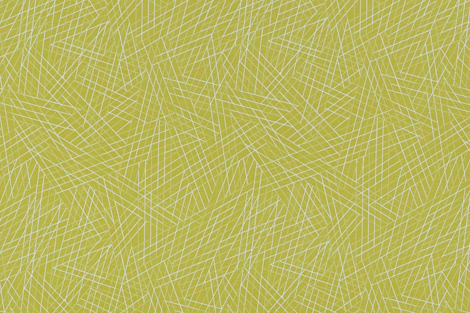 Vector Lime Vector Lime