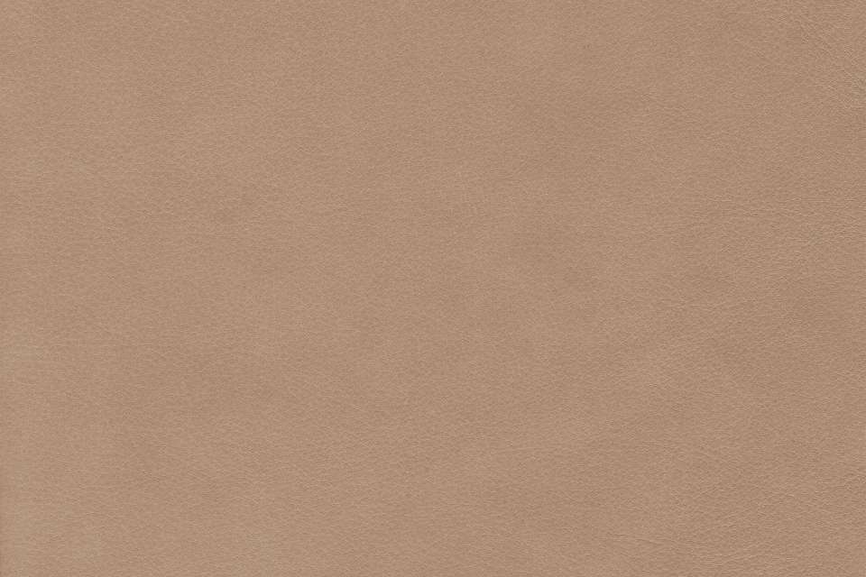Wild Leather Sand
