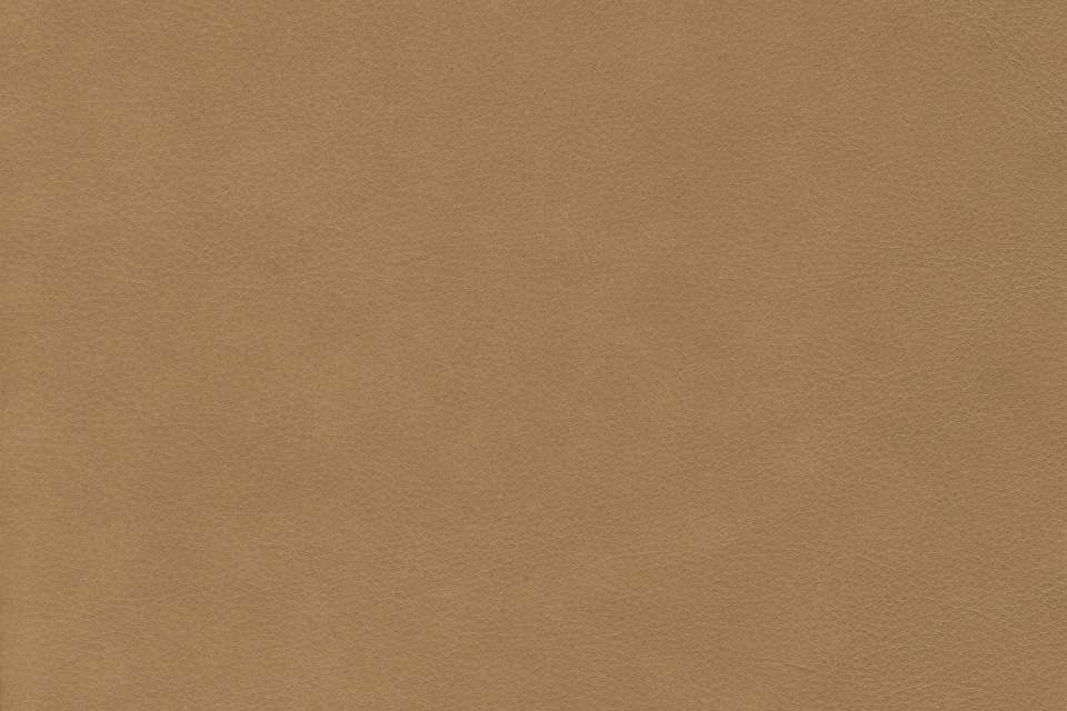 Wild Leather Corda