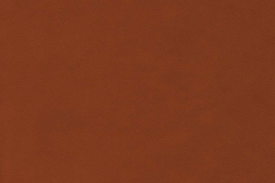 Wild Leather Cognac