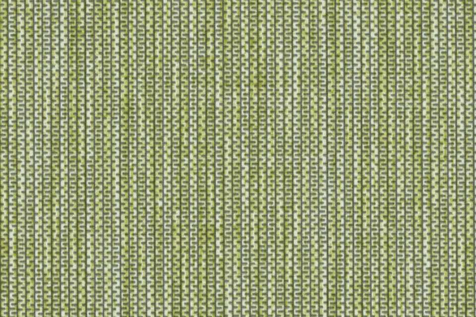 Zip Spring Zip Spring