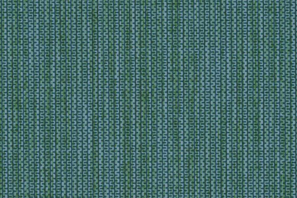 Zip Pine Zip Pine