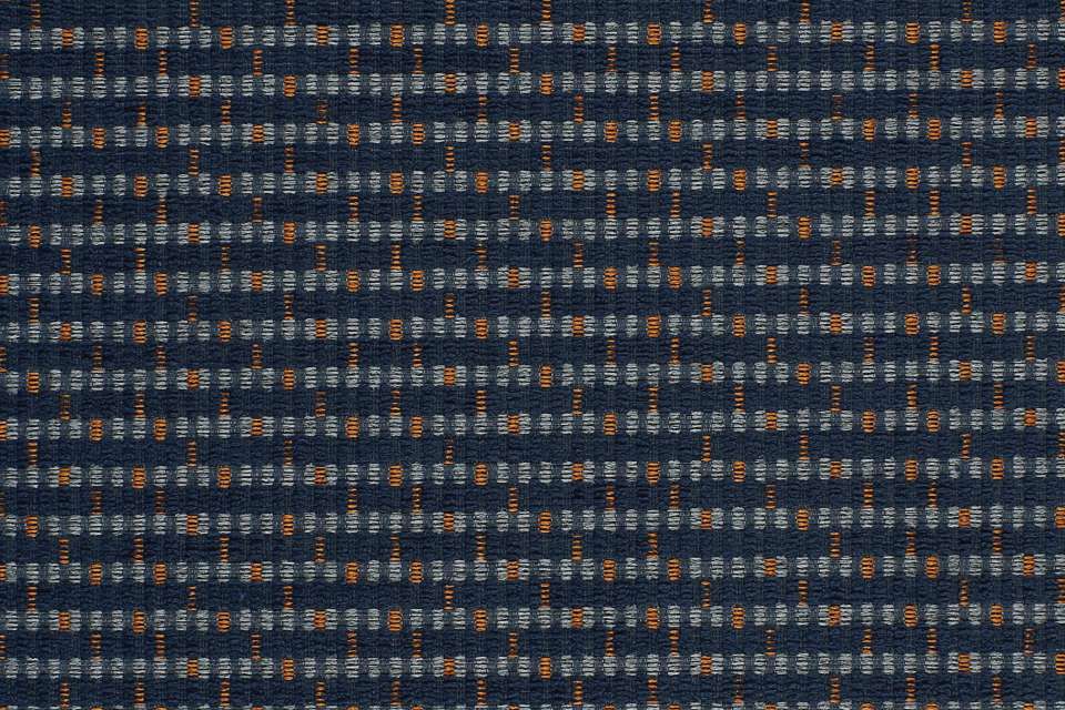 Zippy Navy