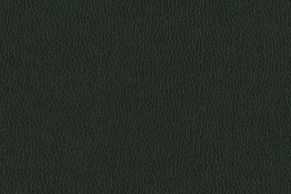 Palermo II Alligator