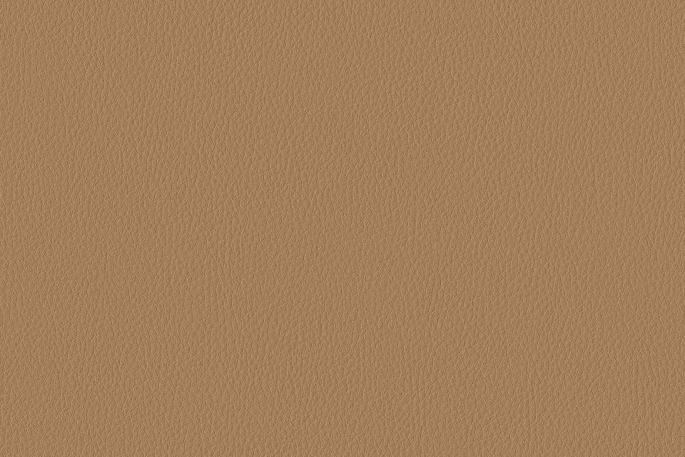 Carson Cv Cork