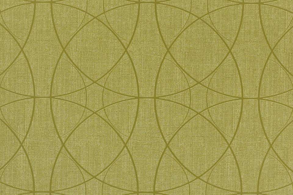 Cycle Clover