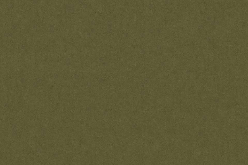 Eventide Moss