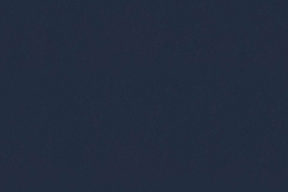 Wrangler #15 Midnight