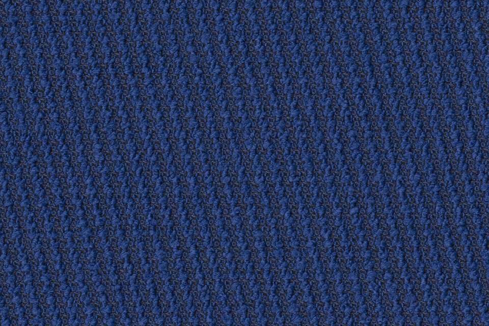 Phoebe Ultramarine