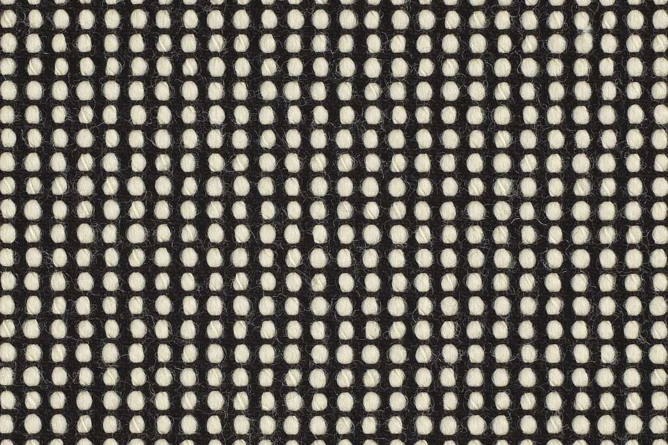 Polka Domino Polka Domino
