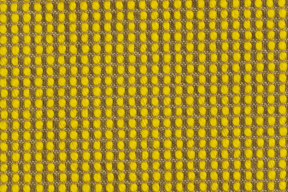 Polka Zest Polka Zest