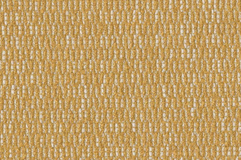 Raindrops Maize