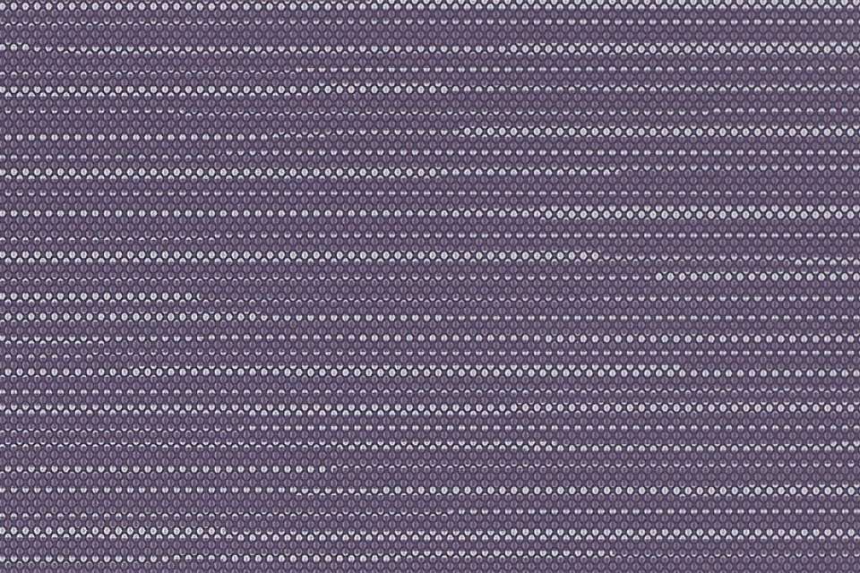 Row Iris Row Iris