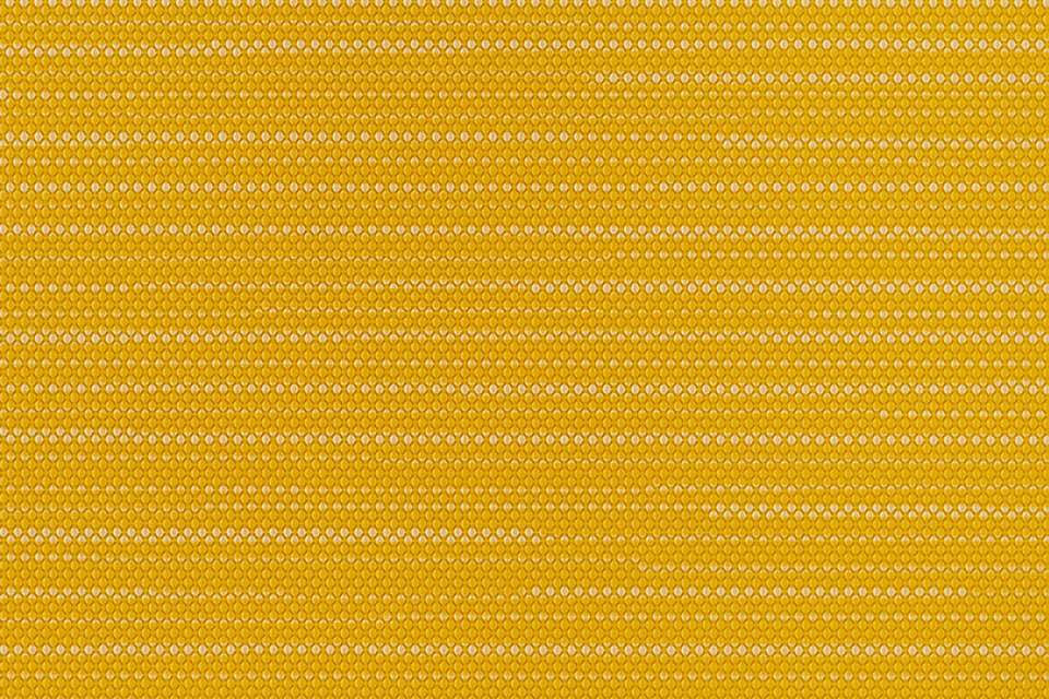 Row Marigold Row Marigold