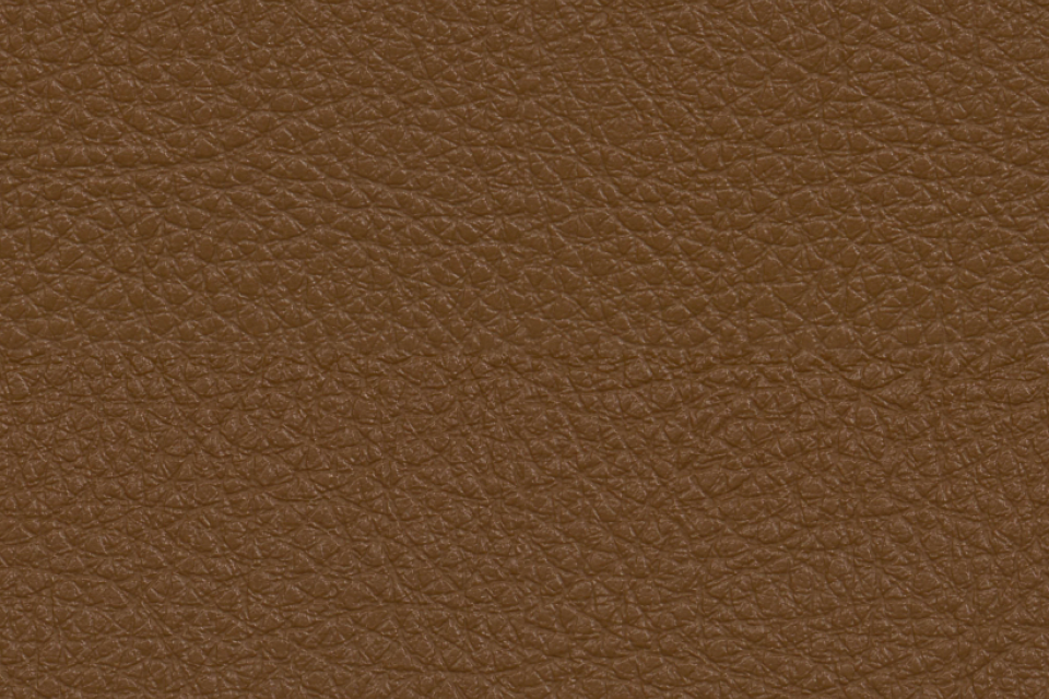 Sandstone Fauve Sandstone Fauve