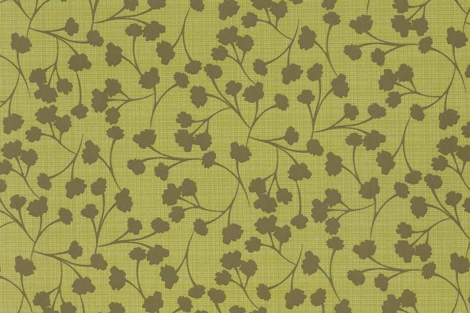 Silica Hiatus Meadow Silica Hiatus Meadow