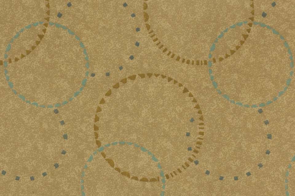 Silica Hoop Chicory Silica Hoop Chicory
