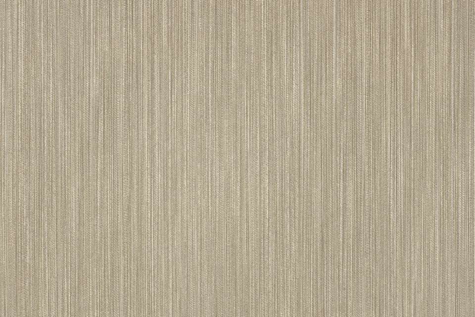 Silica Kip Oyster Silica Kip Oyster