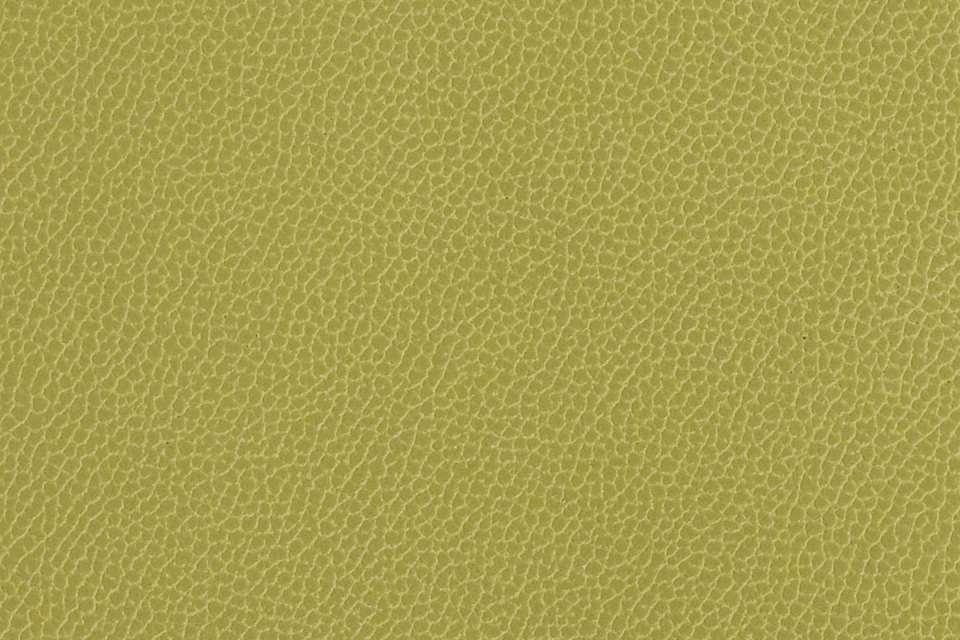 Silica Leather Aloe Silica Leather Aloe