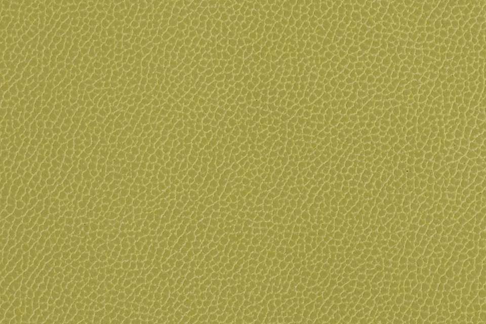 Silica Leather Aloe