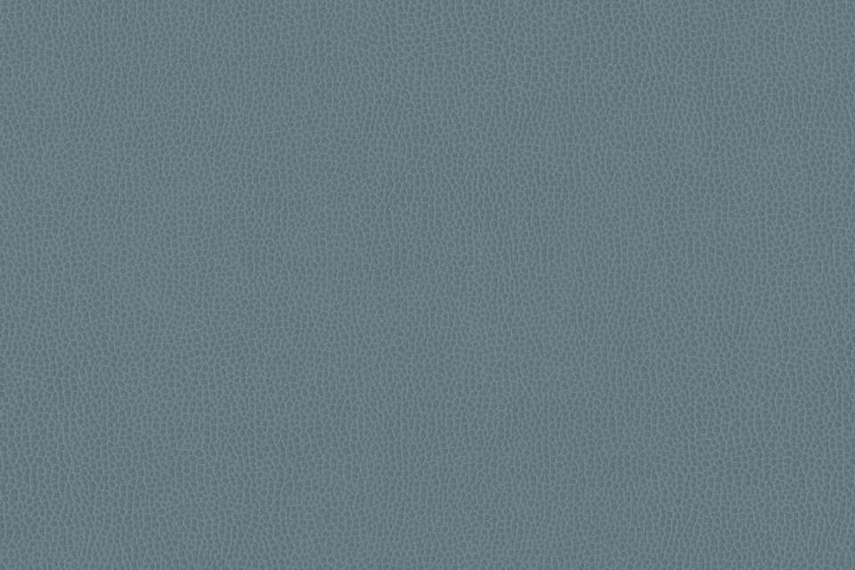 Silica Leather Chambray