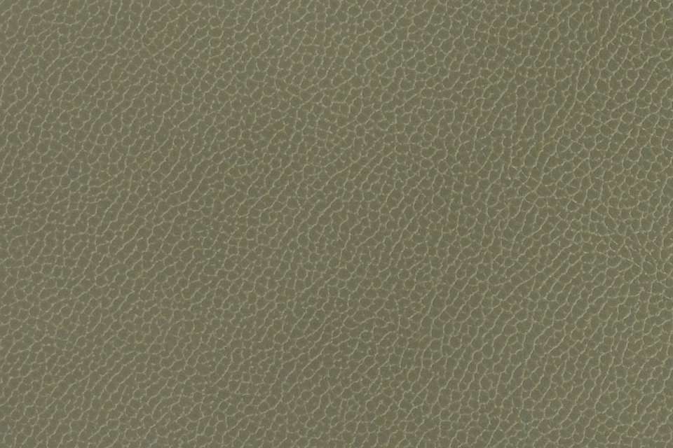 Silica Leather Eucalyptus