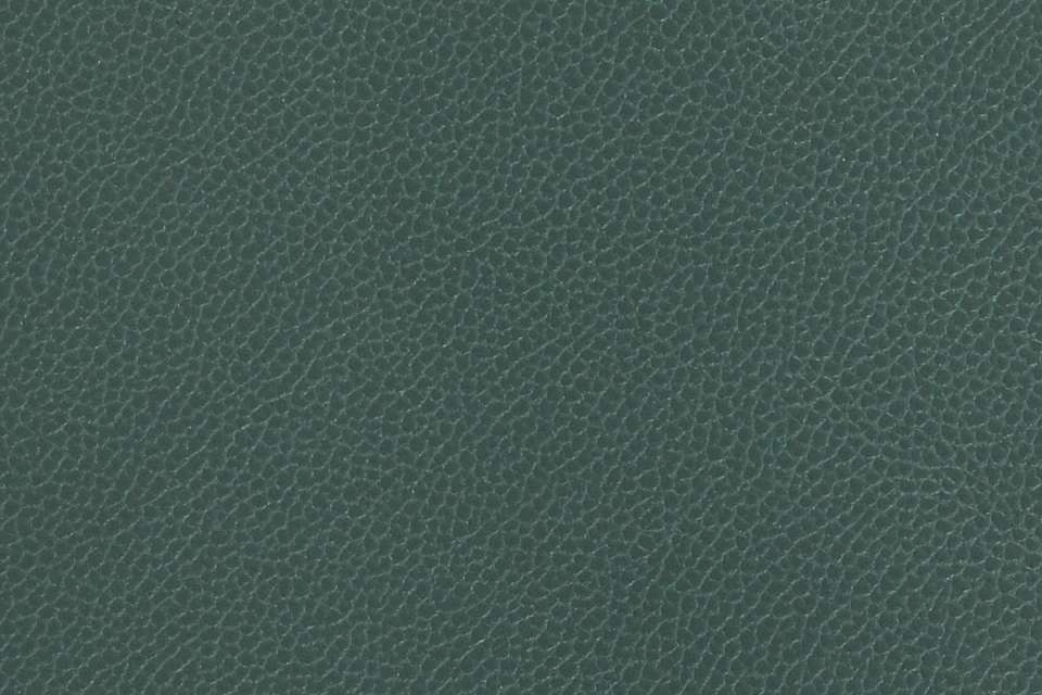 Silica Leather Juniper Silica Leather Juniper