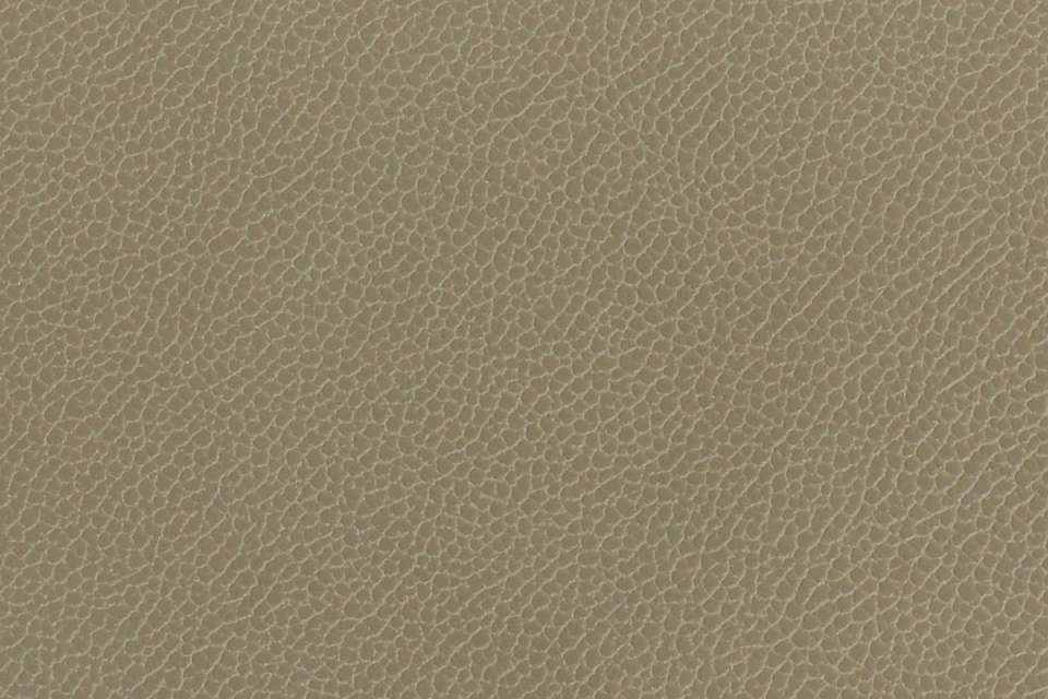 Silica Leather Lichen Silica Leather Lichen