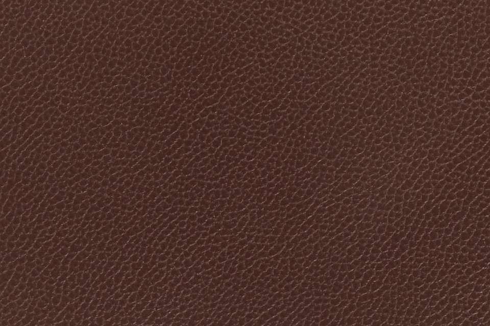 Silica Leather Raisin