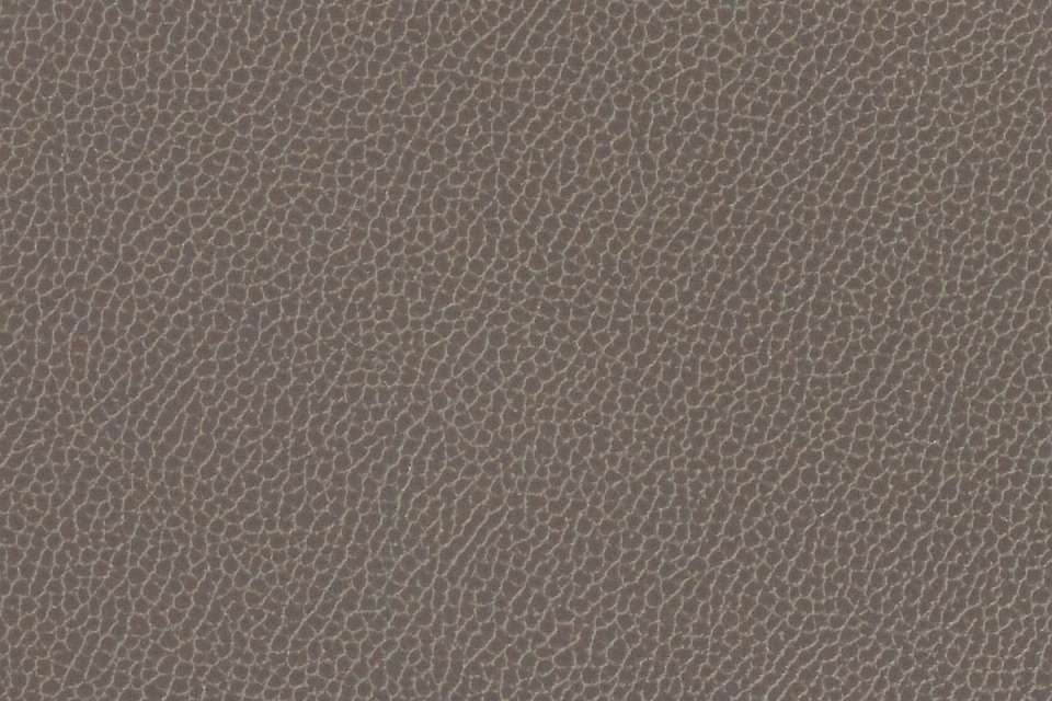 Silica Leather Shadow Silica Leather Shadow