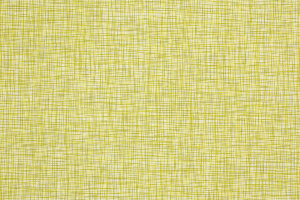 Silica Stride Citrus Silica Stride Citrus
