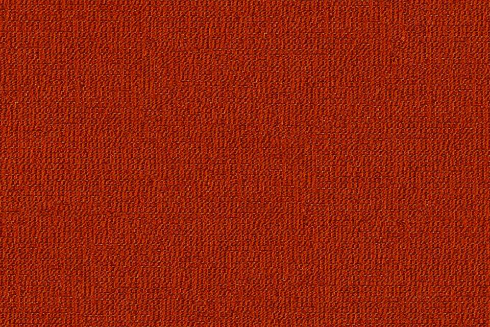 Solace Paprika Solace Paprika