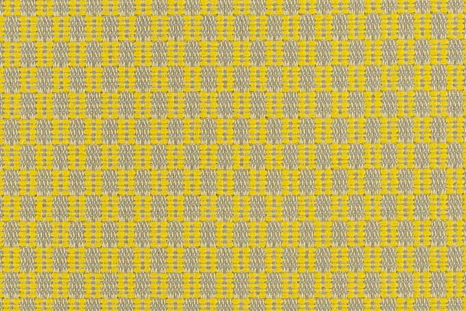 Strum Celadine Strum Celadine