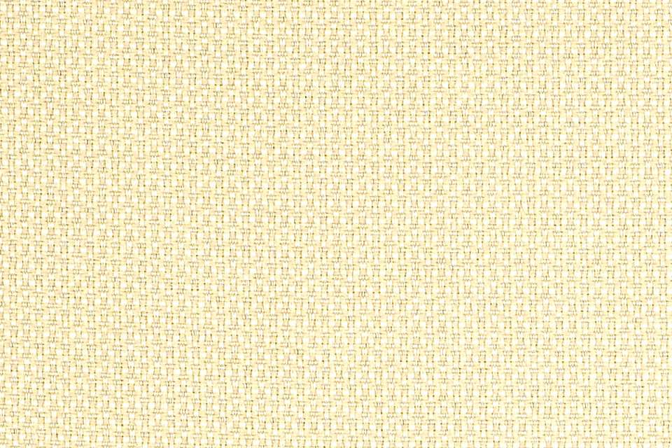 Tenor Champagne Tenor Champagne