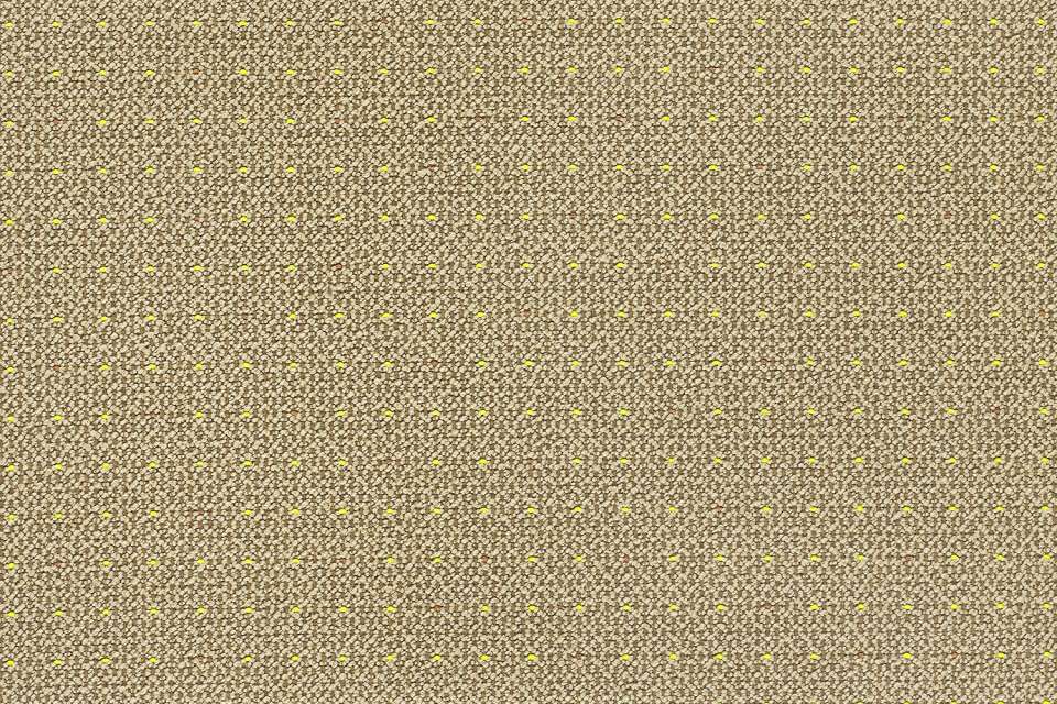Tufted Myrrh