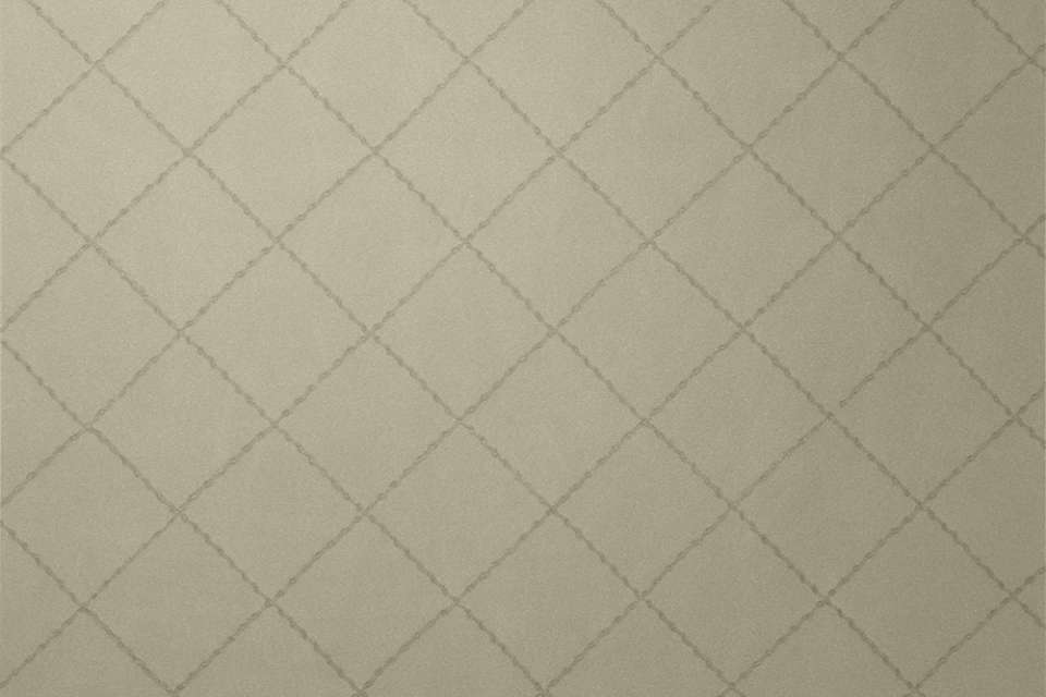 Vega Uph Moleskin