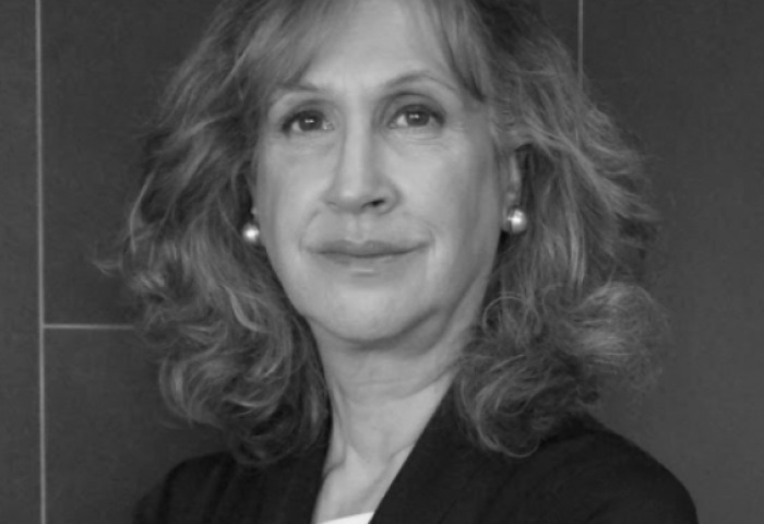 Shuli Steele on the Imagine a Place podcast