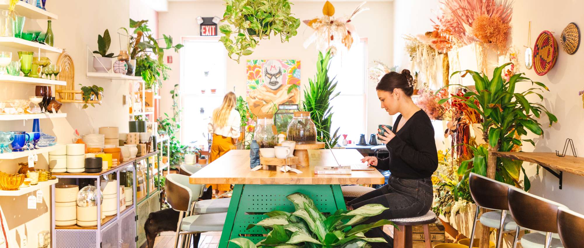 An Interview with PLNTR