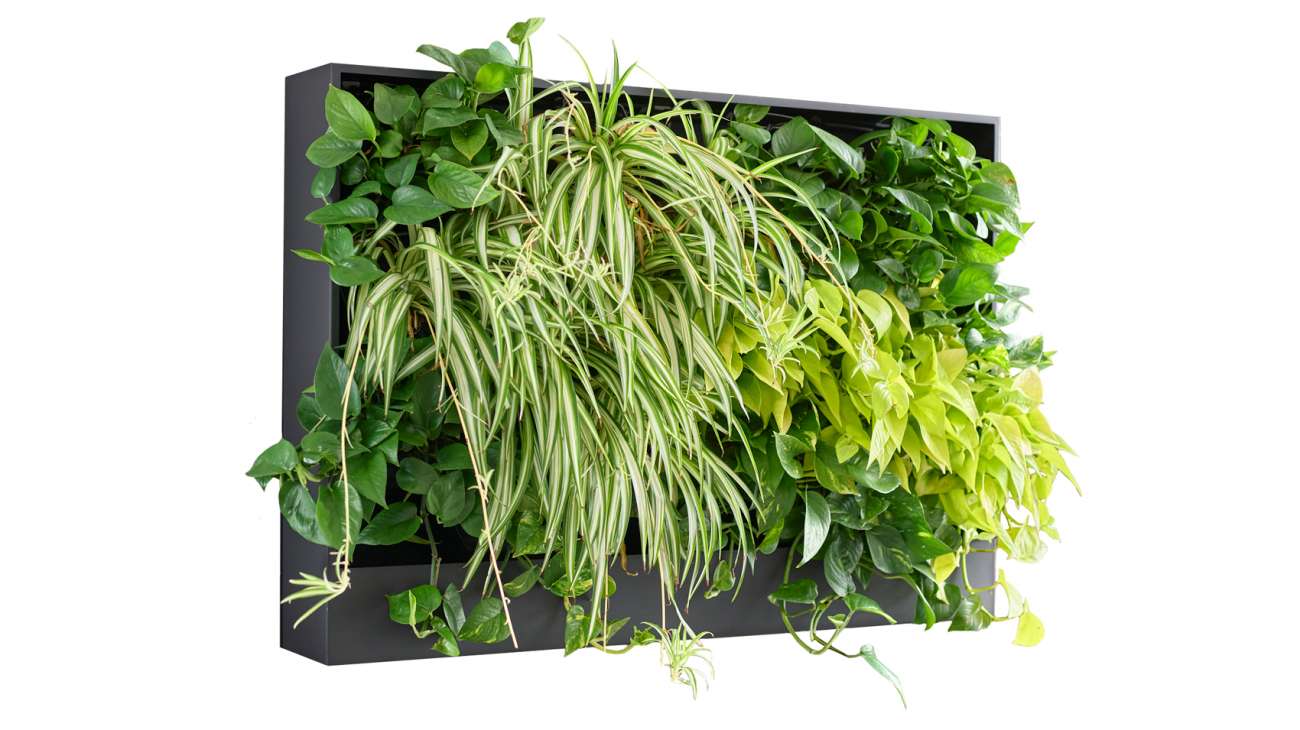 OFS Living Wall Planter Planters Product