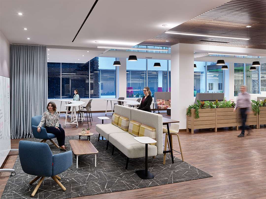 Seating area within an office with planter boxes