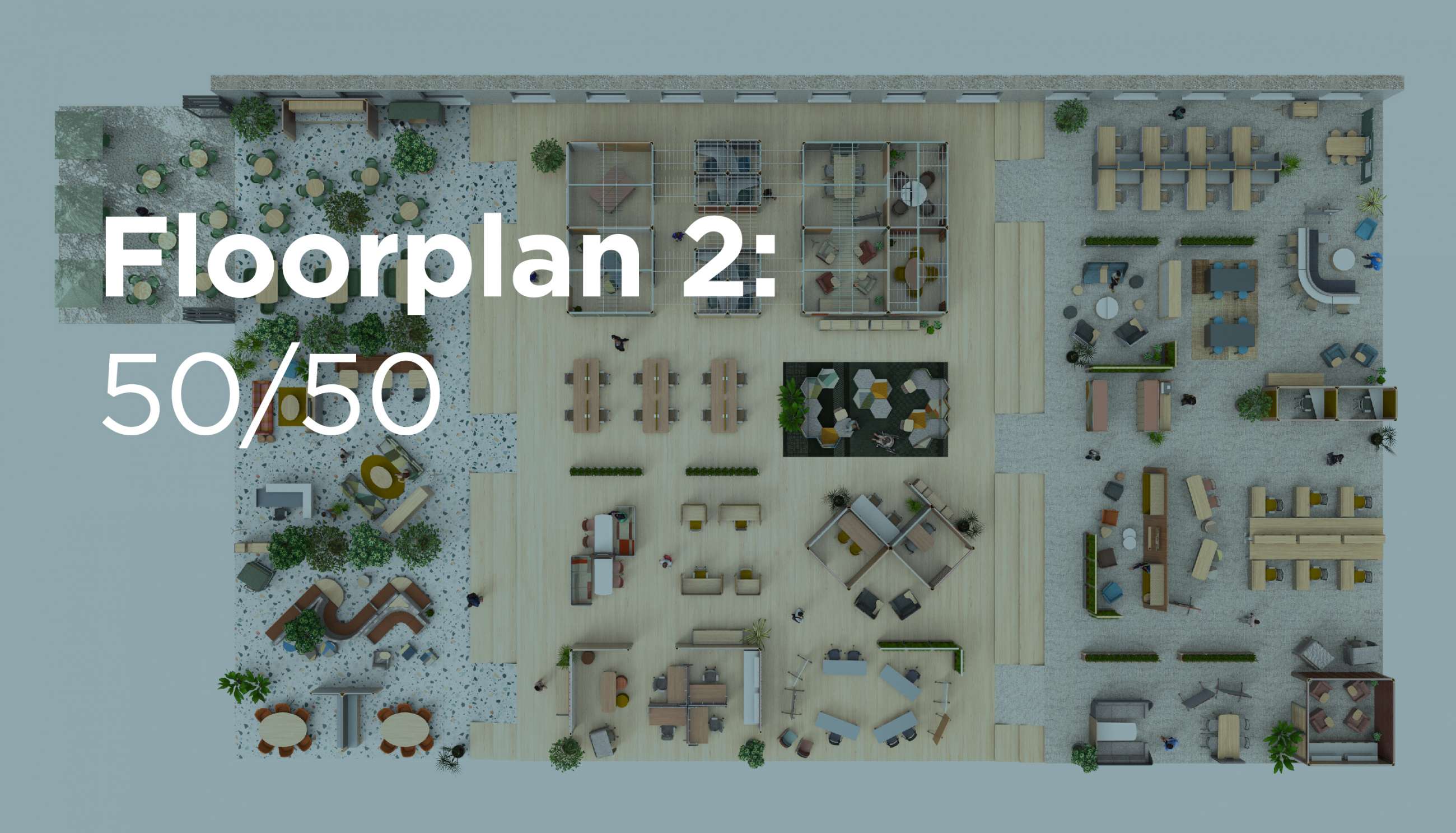 Floorplan 2: 50/50