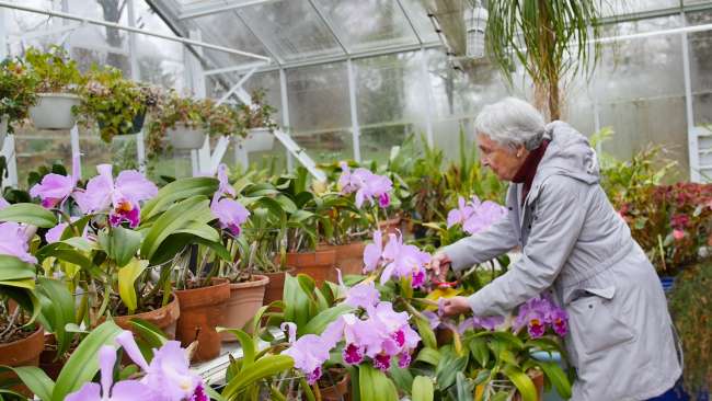 An afternoon with Phyllis