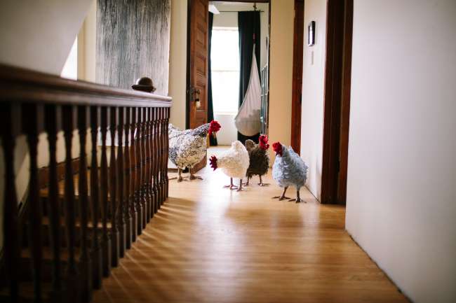 Chickens from scratch