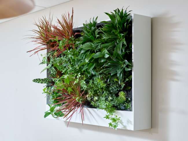 Living Wall Planter