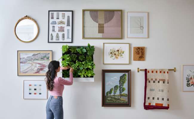 Living Wall Planter
