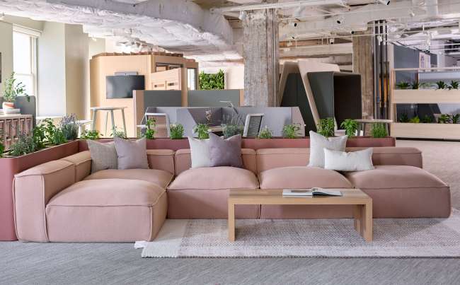 Hinchada, Kintra, and Hydra