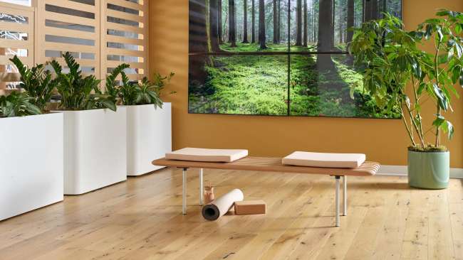 Rowen bench and Hydra