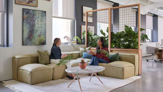 Hinchada, Roo, and Hydra